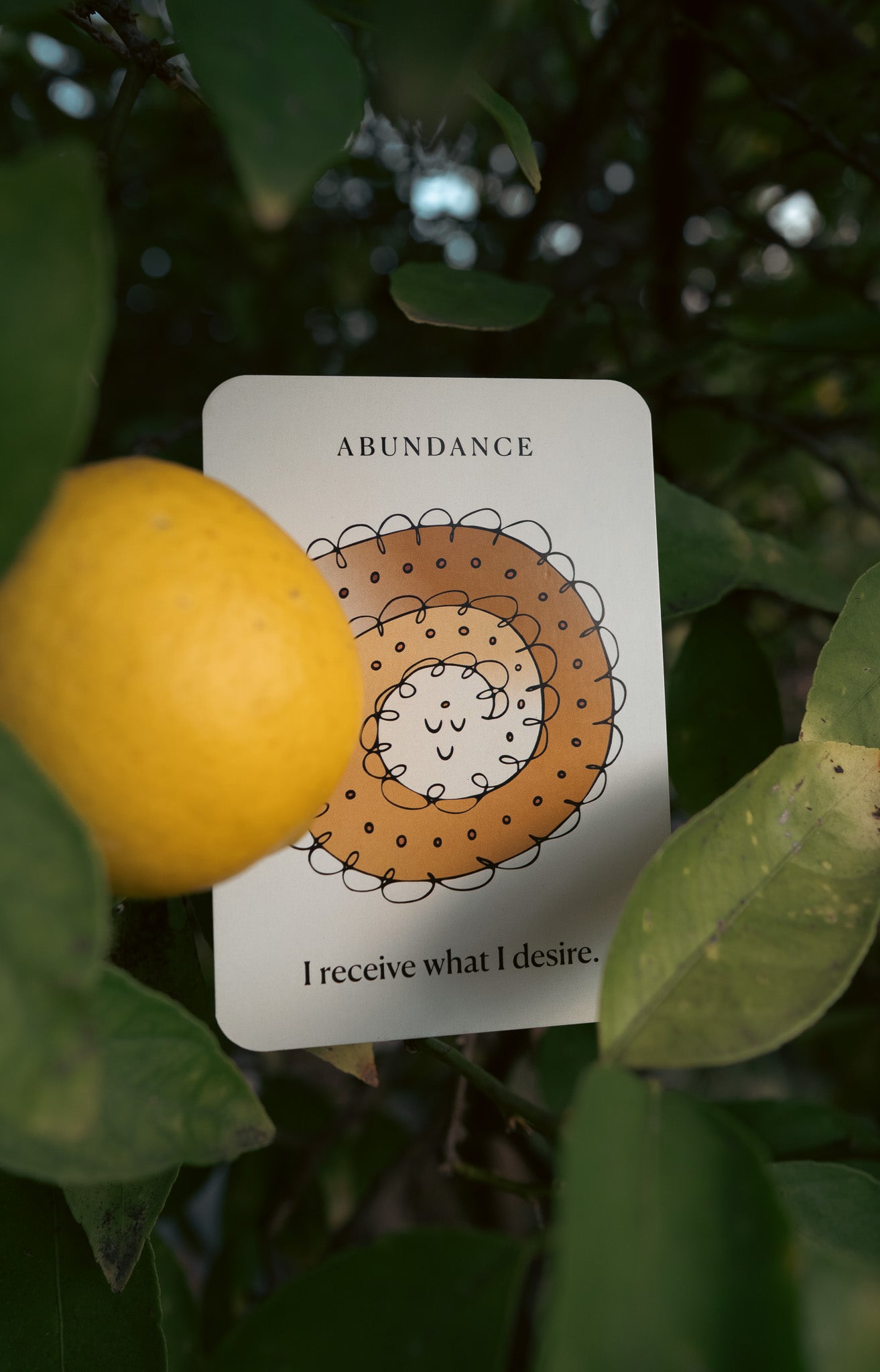 Seeds of Illumination