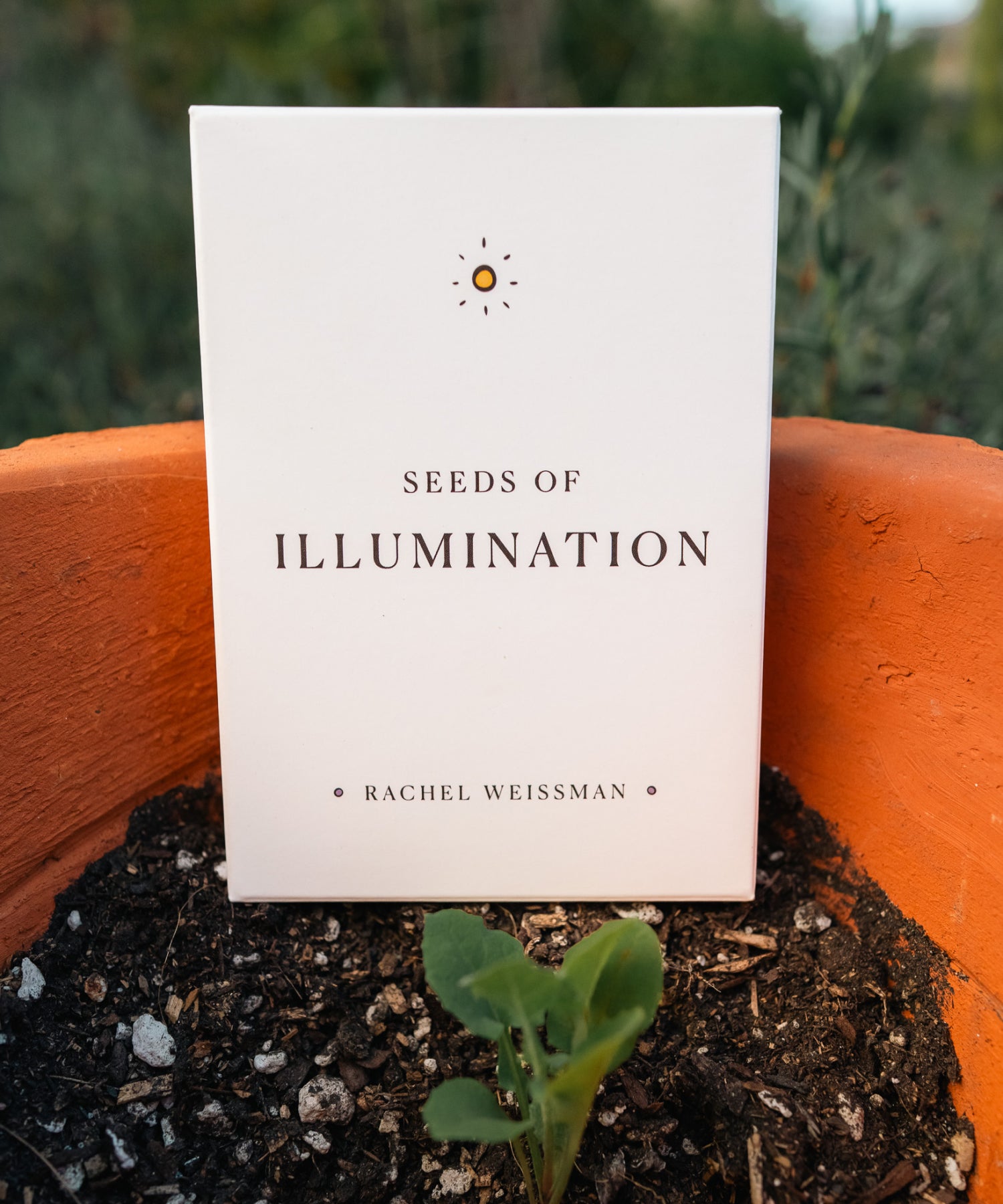 Seeds of Illumination