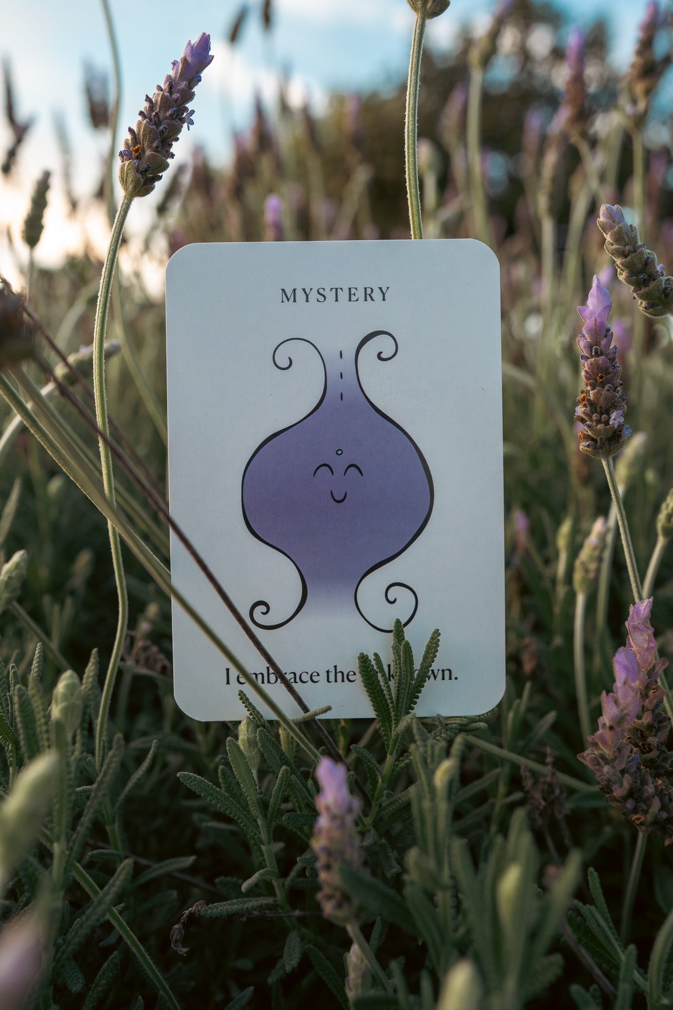 Seeds of Illumination | Rachel Weissman | Affirmation Deck