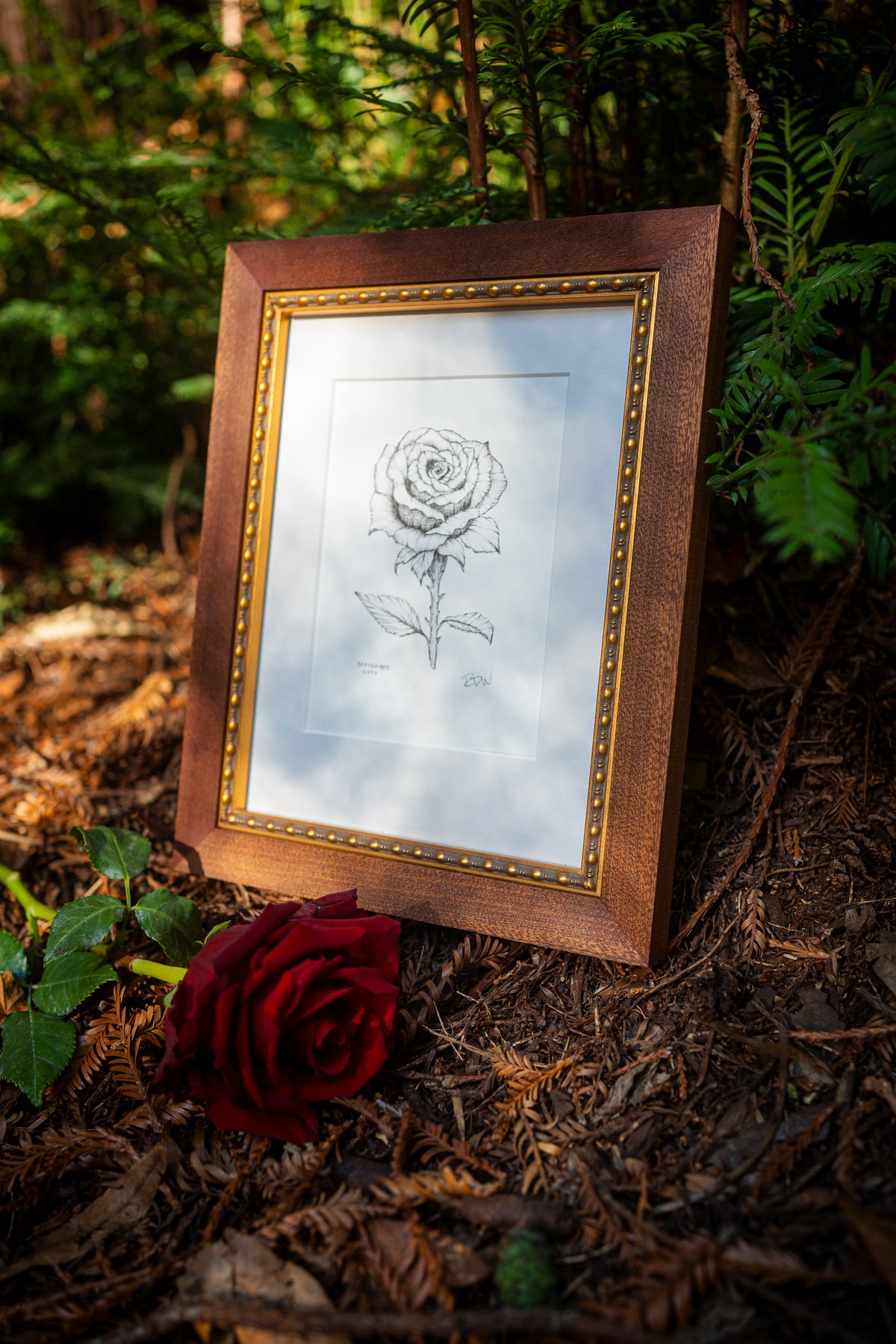 Rose Path: Custom Original Ink Drawing
