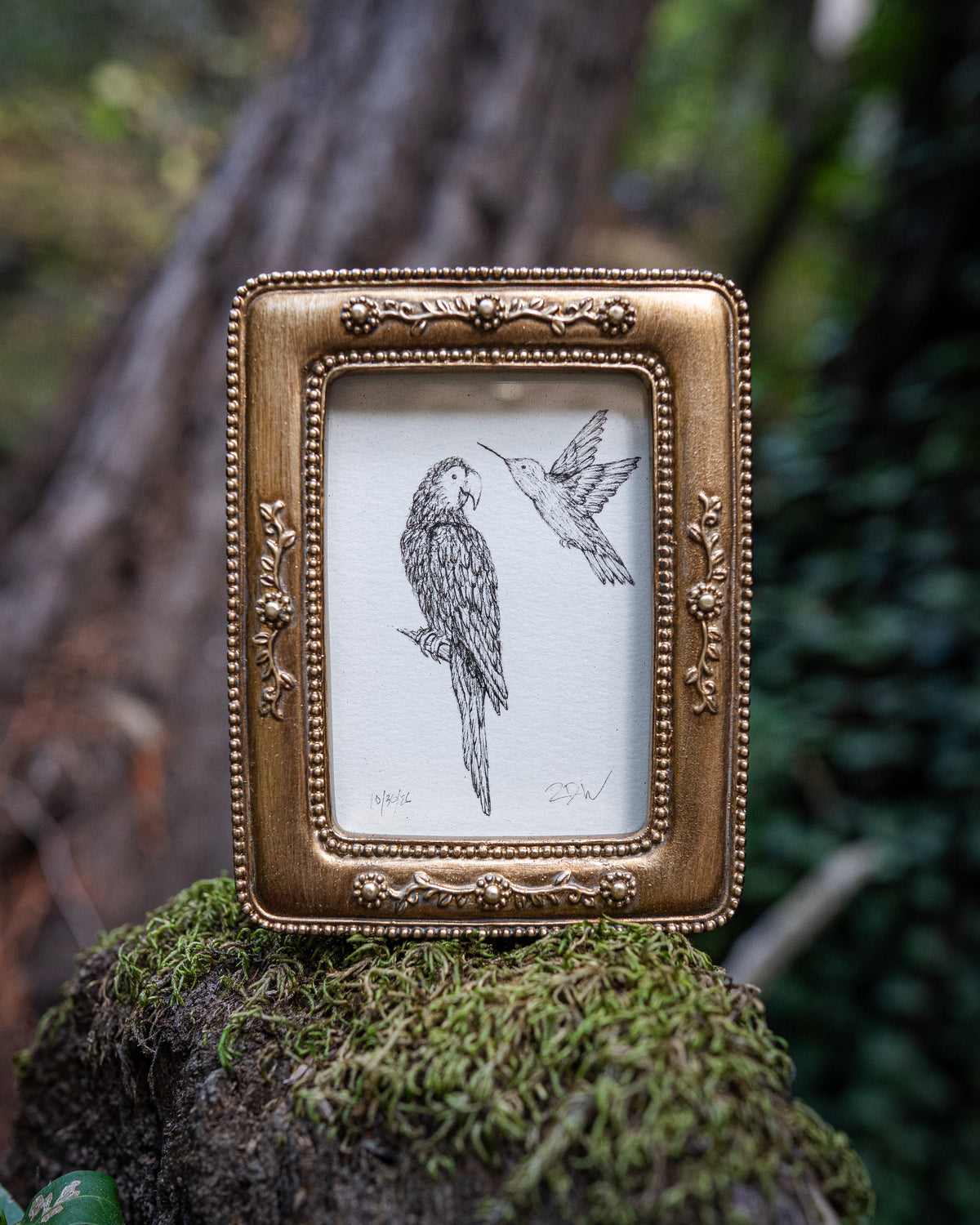 Animal Ally: Custom Original Ink Drawing
